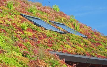 Scot Lane End living roof systems